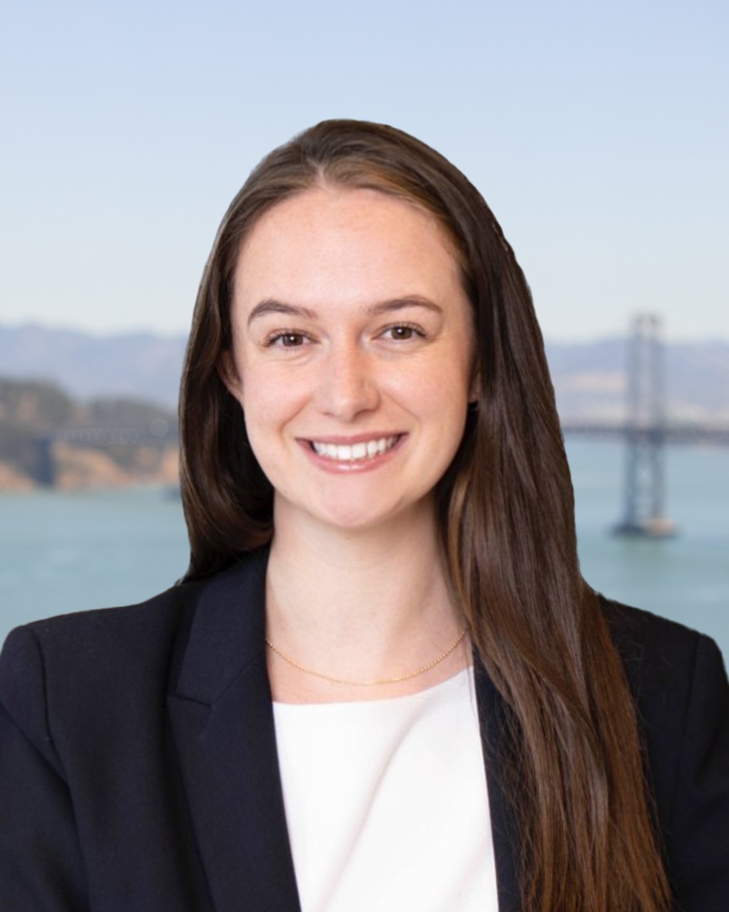Laura King | Gryphon Investors