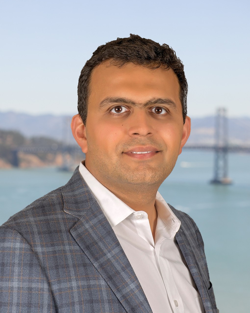 Vikram Mahidhar | Gryphon Investors